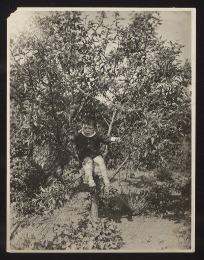 Front (0012) shows a small child climbing among bushes and trees.